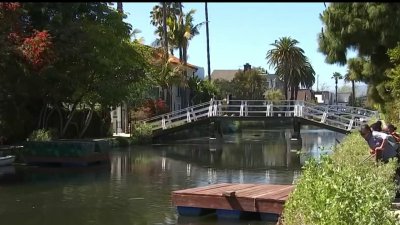 Venice canals attack suspect charged with murder