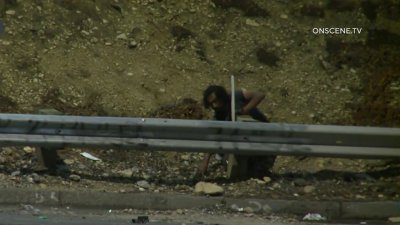 Man caught throwing rocks at drivers on 110 Freeway
