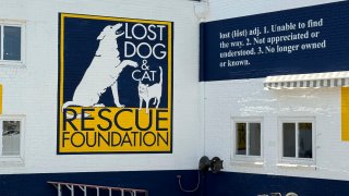The Lost Dog and Cat Rescue Foundation.