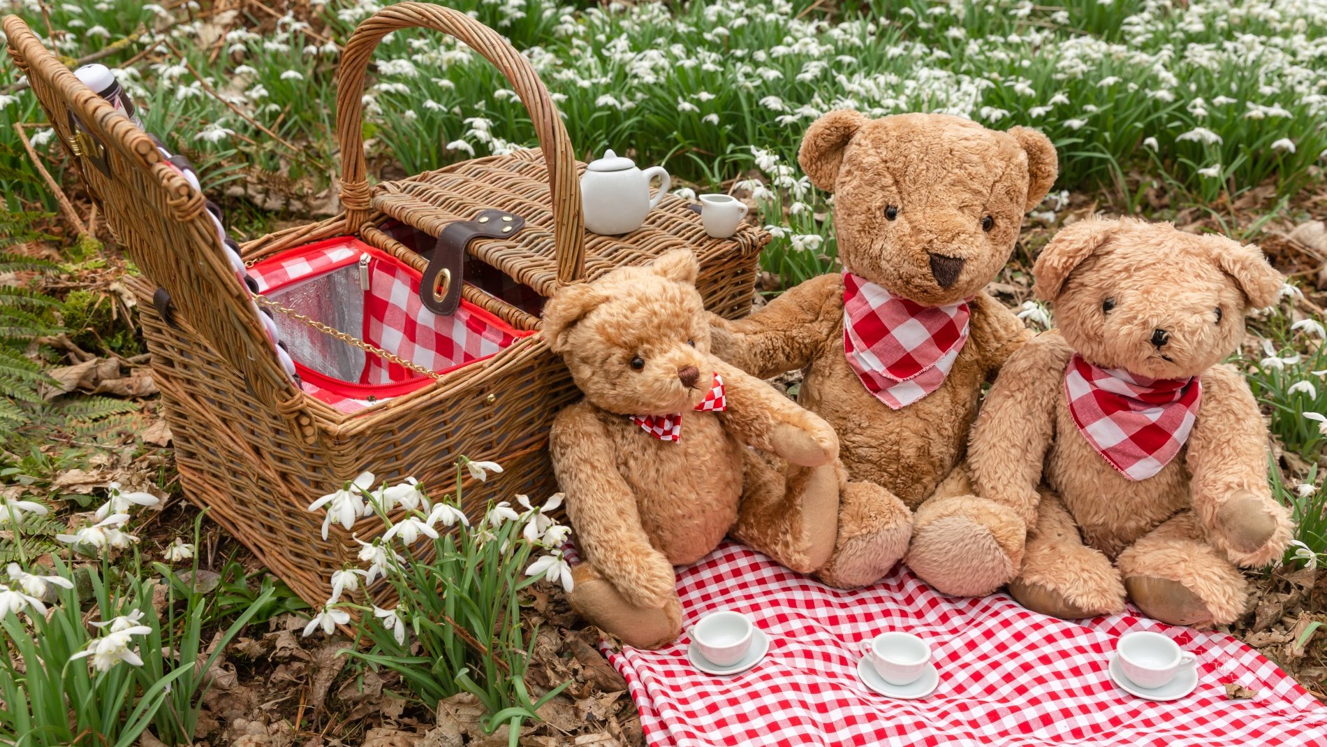 The Teddy Bear Picnic is possibly (definitely) LA Arboretum's most adorable event - Vimarsana News