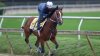 The updated Preakness Stakes field and post positions after the race favorite is scratched