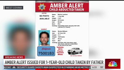 Missing 1-year-old boy sought in Amber Alert abduction