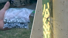 Neighbors reported finding ball bearings in their yards for years in an Azusa neighborhood.