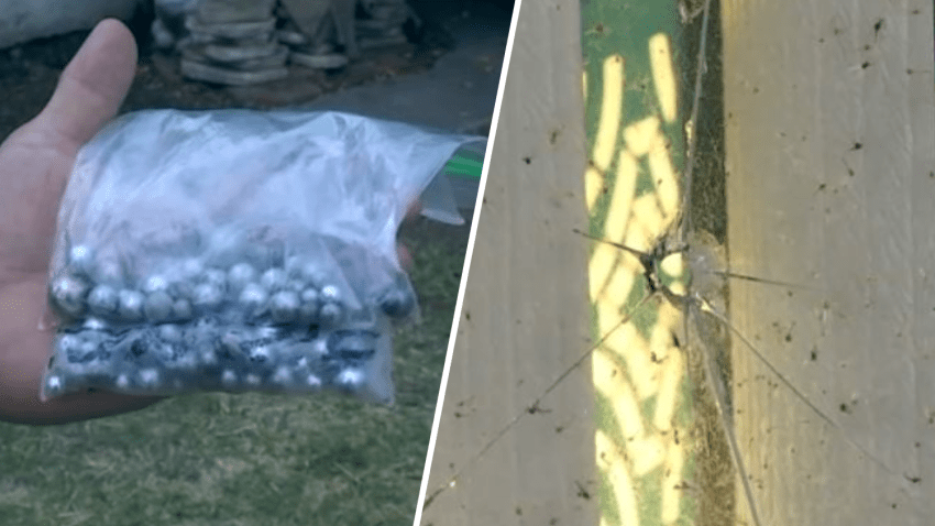 Neighbors reported finding ball bearings in their yards for years in an Azusa neighborhood.