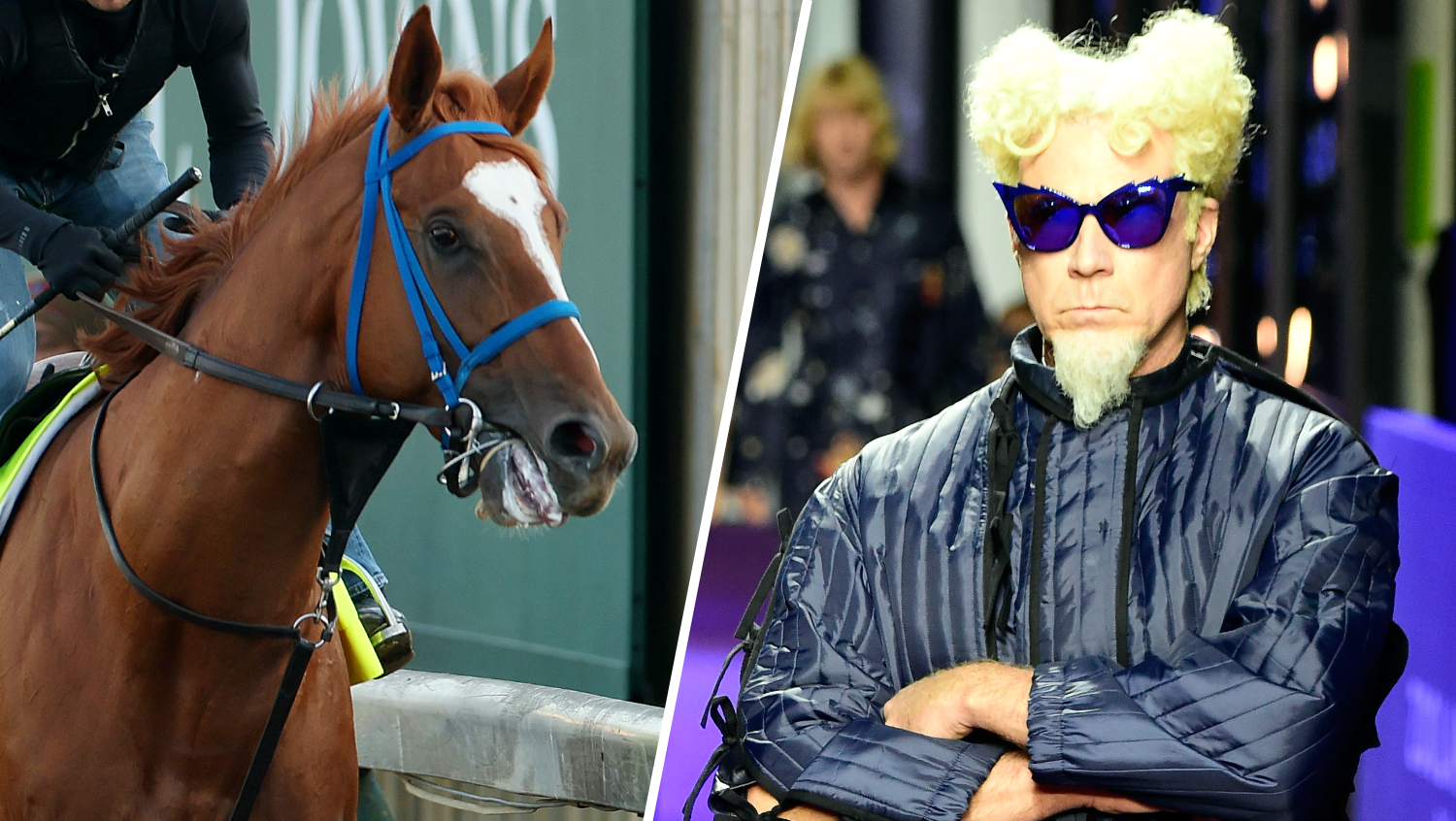This Preakness Stakes horse is named after iconic Will Ferrell