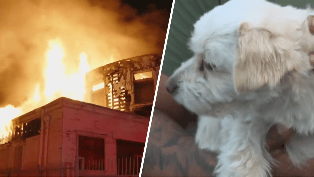 South LA church burns in overnight fire – NBC Los Angeles