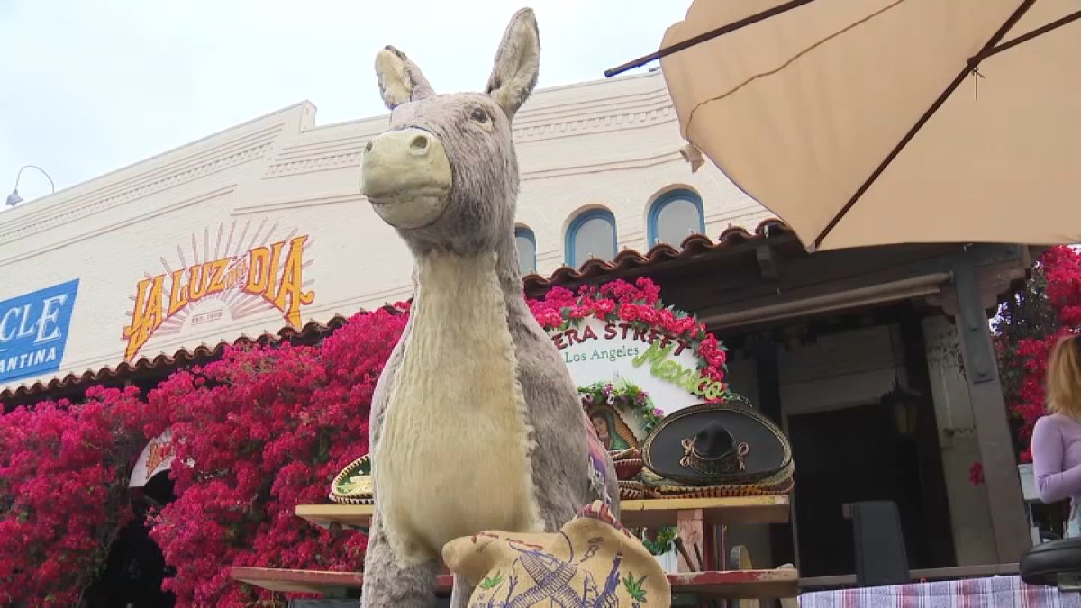 Owner of beloved Olvera Street burro pleads with board – NBC Los Angeles