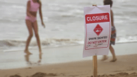 At least 2 shark sightings reported in Southern California beach