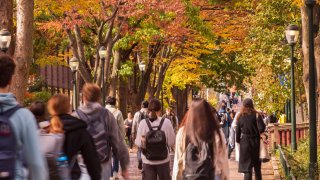 Students moving through Locust Walk on the University of Pennsylvania’s Philadelphia campus.