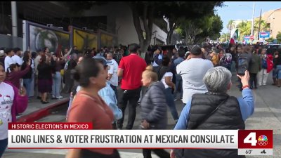 Mexican consulate in LA overwhelmed by large voter turnout