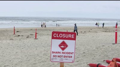Witness describes shark attack off coast of Del Mar