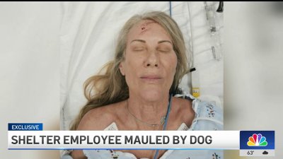 LA shelter employee mauled by dog