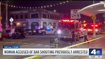 Accused San Pedro bar shooter had been arrested months before