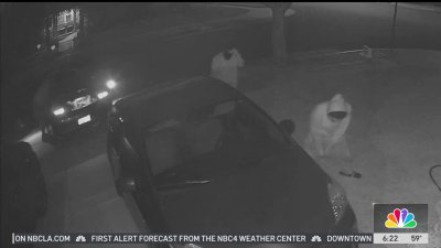 Catalytic converter thief appears to point handgun at home