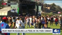 Festivalgoers enjoy live music with Pride at the Park