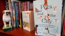 A copy of "Pets and the City" by Dr. Amy Attas, and James Herriot's "All Creatures Great and Small" are displayed on a book shelf in Attas' office at City Pets, Tuesday, April 23, 2024, in New York.
