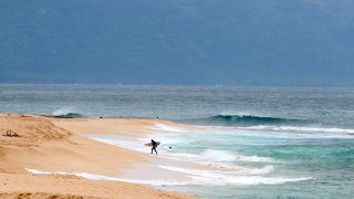 A surfer walks out of the ocean on Oahu's North Shore