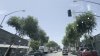 City trees illegally trimmed along Santa Monica Boulevard