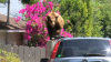 Bear break-ins: Animal enters 5 different homes in Sierra Madre