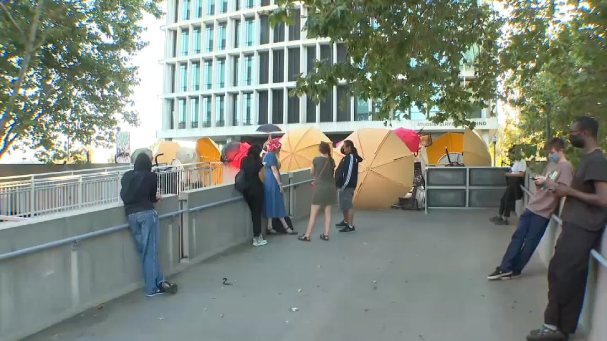 Pro-Palestinian protest at CSULA – NBC Los Angeles