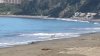 Video captures deer bodysurfing on California beach