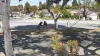 Police search for thief who robbed girl on public bench in Long Beach