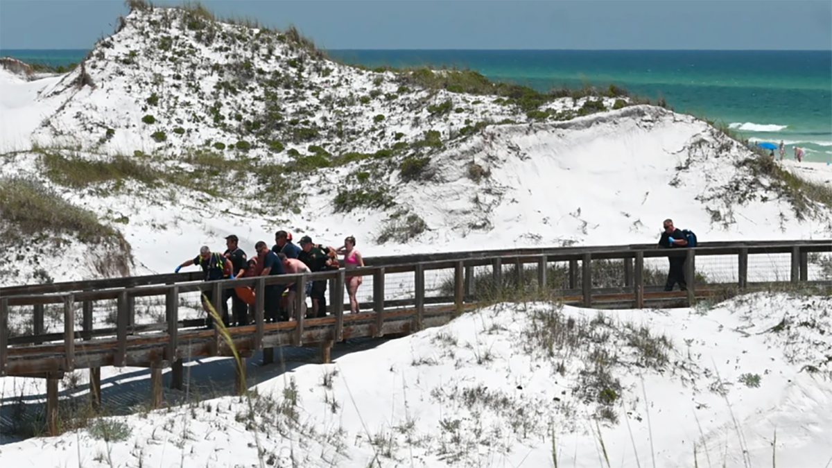 Back-to-back shark bites cause Florida county to close waters – NBC Los ...