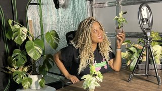 Leena Pettigrew, a full-time IT analyst, spends 20 hours per week selling houseplants online.