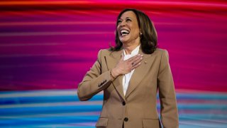 Vice President Kamala Harris addresses the Democratic National Convention at the United Center in Chicago on Aug. 19, 2024.