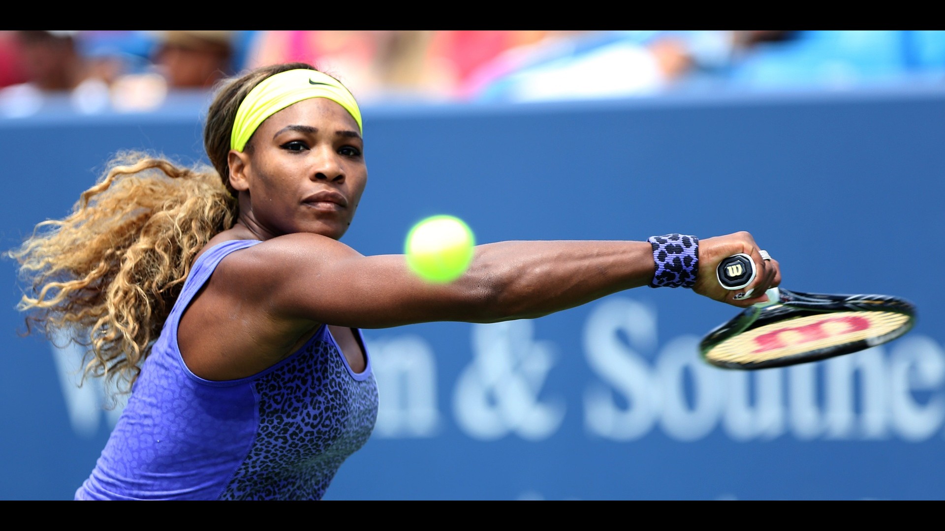 Indian Wells Bee invasion halts quarterfinal, but tennis' new hero