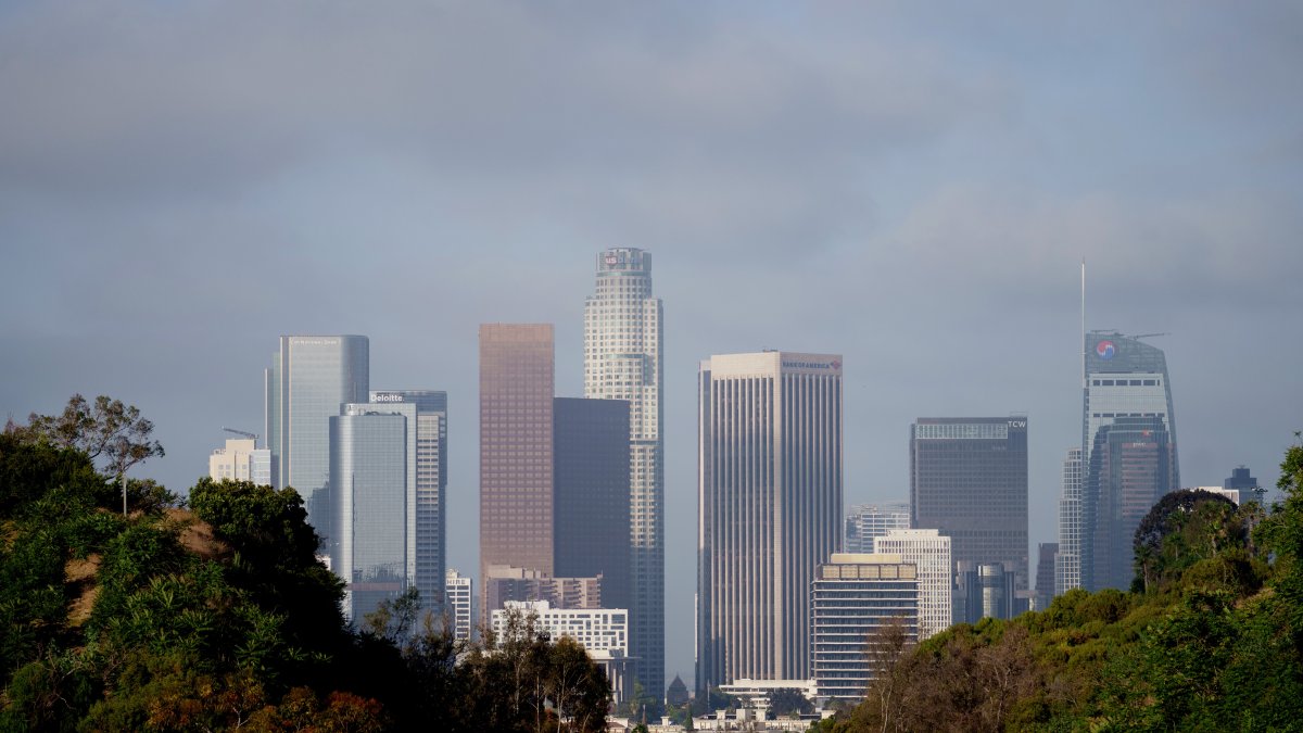 Immigration Raids Trigger Major Economic Fallout in California