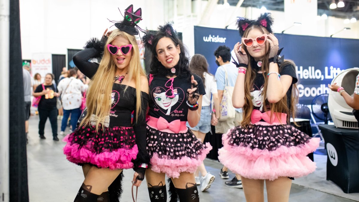 Things to do this weekend: CatCon, the cat-tastic expo, lands in Pasadena