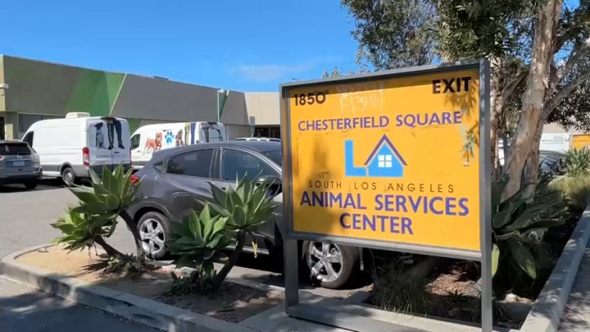 An image of the outside of LA Animal Services' shelter in Lincoln Heights.