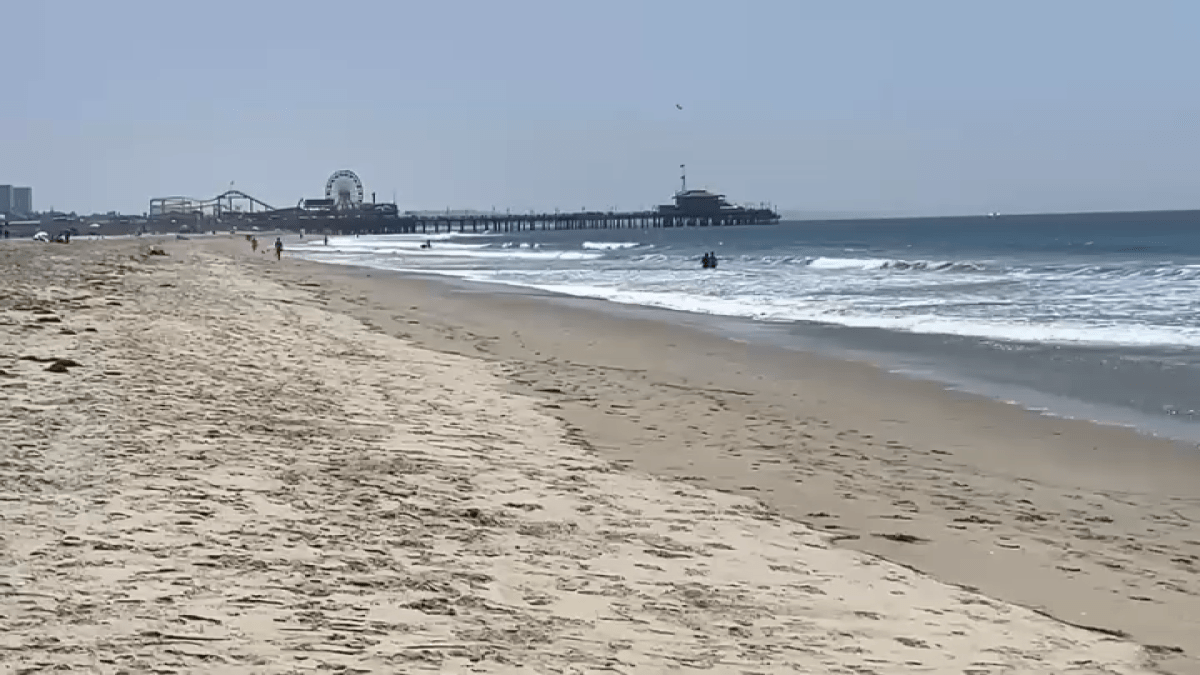 Man arrested for sexually assaulting Santa Monica beachgoer – NBC Los Angeles