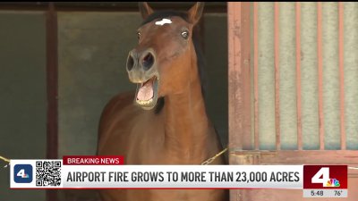 Airport Fire evacuees get help in sheltering their horses