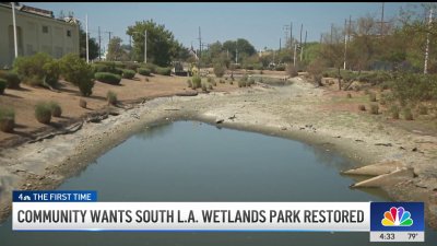 South LA community urging for Wetlands Park renovation