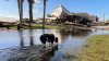 At least 42 dead as Helene lashes the South with wind, rain and historic flooding