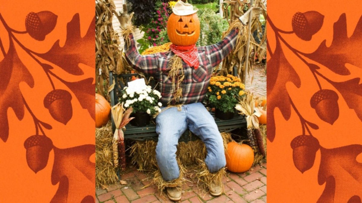 Halloween Festivities Flourish Across the Nation