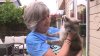 Cat lost in Yellowstone travels almost 900 miles to reunite with owners 2 months later