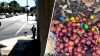 ‘Sick to my stomach.' Person intentionally leaving chocolates, grapes for dogs in Pasadena