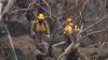 Firefighters gain better control of Line Fire with 36% containment