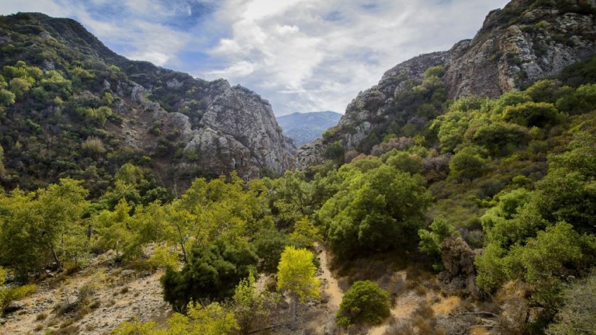 A view of Malibu Creek State Park.