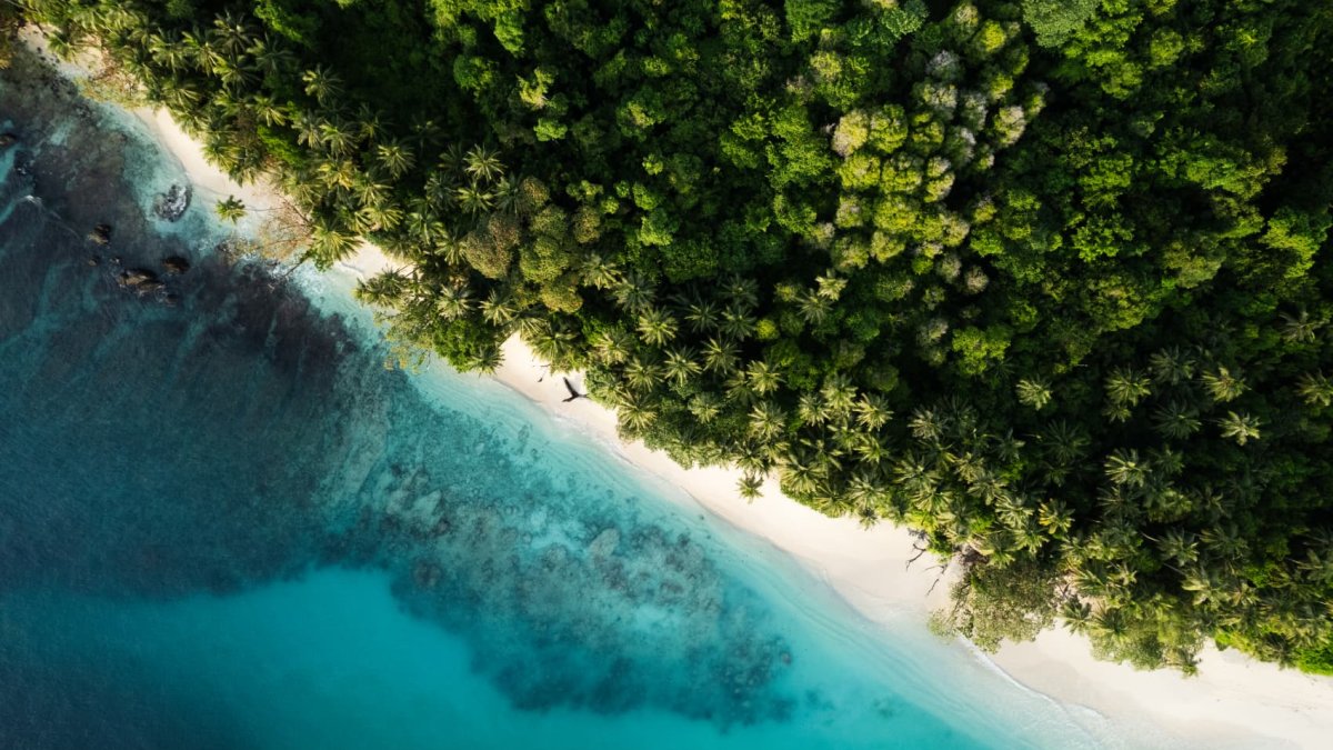 A private island for $1,000 per night — for those who are willing to ...