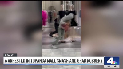 6 arrested in Topanga Westfield mall robbery