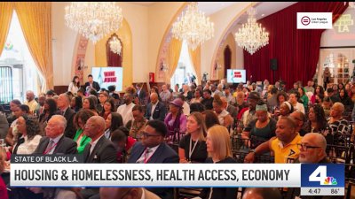 State of Black LA: Housing & Homelessness, Health Access, Economy