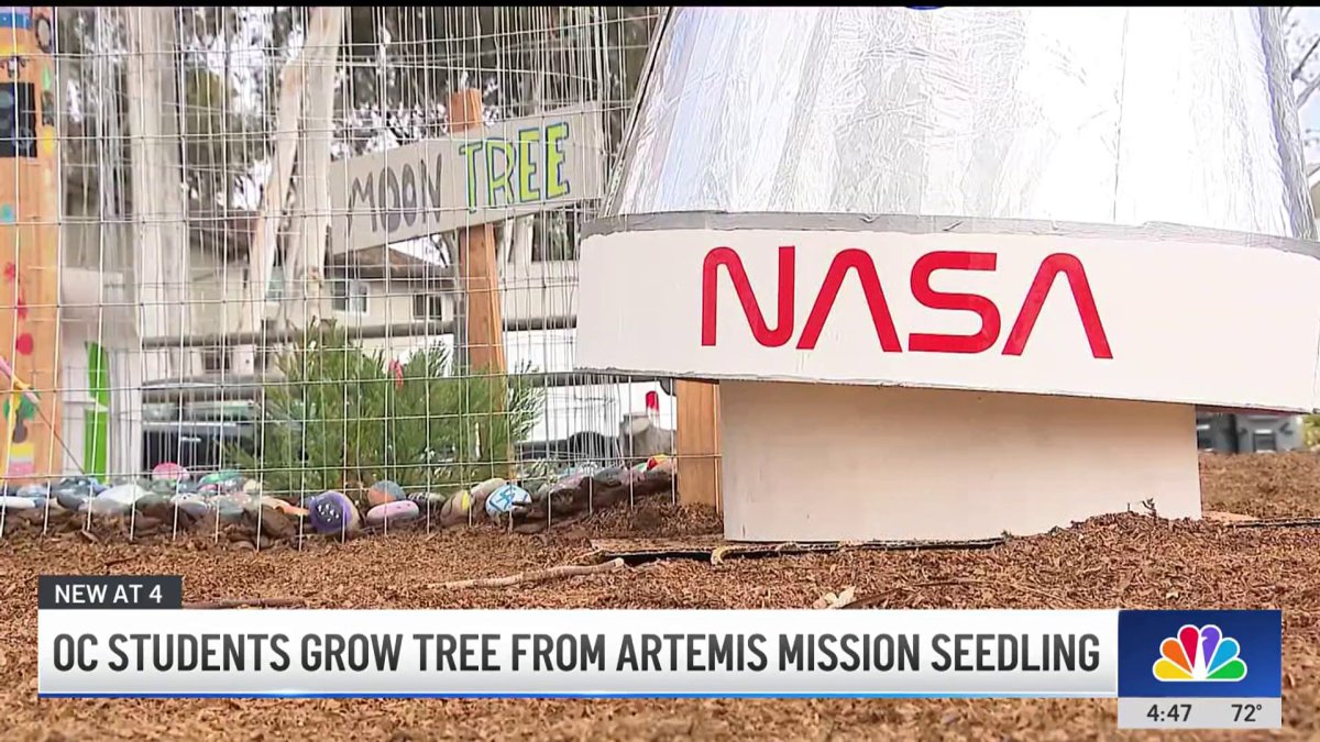 Orange County kids grow tree from NASA’s Artemis mission seedling NBC