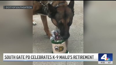 Happy retirement! South Gate police K-9 hangs up the hat