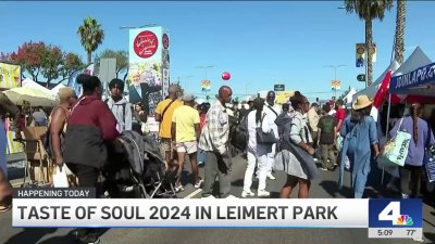 Taste of Soul 2024 in Leimert Park