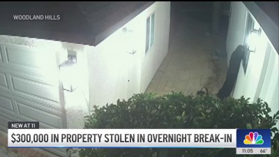 Surveillance footage captures thieves stealing $300k from Woodland Hills home