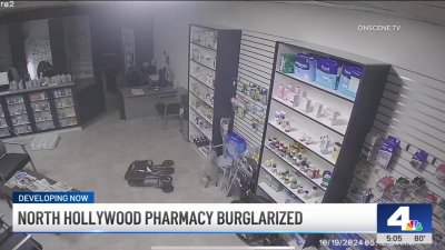 Pharmacy ransacked by masked burglars in North Hollywood